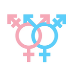 t4t (trans 4 trans) matz